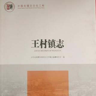 节庆习俗方言俗语（44）王村镇志编纂委员会 主编:李国经  孙方之