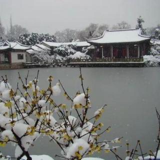 江南的冬景