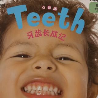 预备级2 Teeth