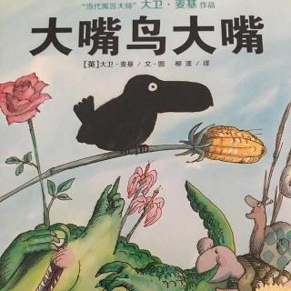 大嘴鳥大嘴