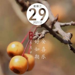 喀纳斯早安心语12.29