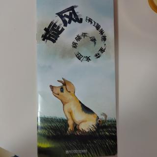 绘本故事《旋风》