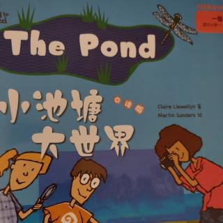 一级1 The Pond