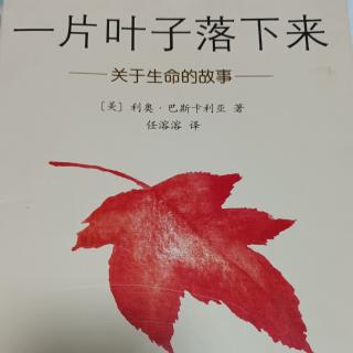 晚安故事《一片叶子落下来》