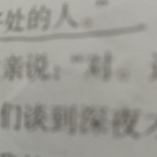 语文阅读情况