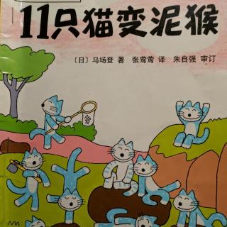 11只猫变泥猴