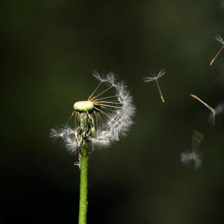 姗姗-无论夫妻还是情人，能不能走到最后，主要看这三点