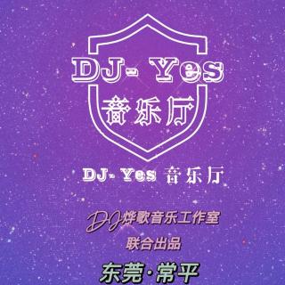 DJ-Yes酒吧主题歌-DJ烨歌
