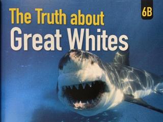 RE 2 6B-The Truth about Great Whites