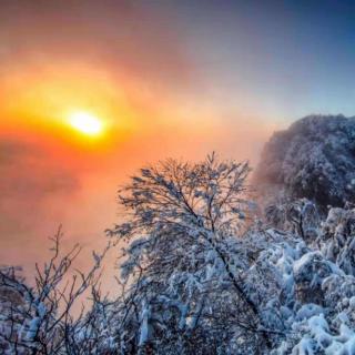 大雪中的中国  欧震  朗读  红娟