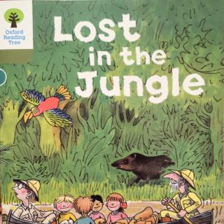 20220106-Lost in the Jungle