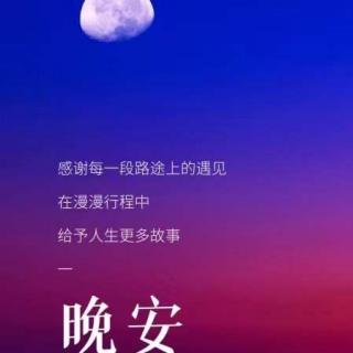 〔3〕晚安全世界/情出自愿 爱过无悔