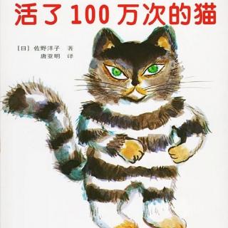 卡蒙加幼教集团魔法姐姐—《活了一百万次的猫》