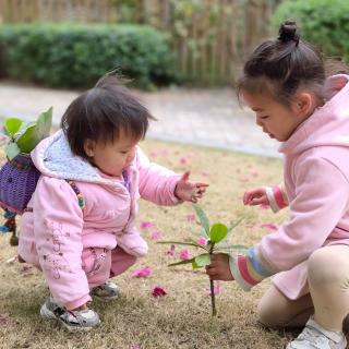 小学一年上册语文背诵