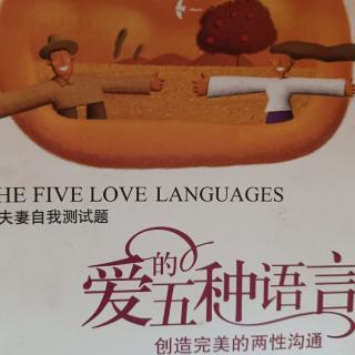 爱的五种语言-五身体的接触