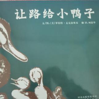 让路给小鸭子