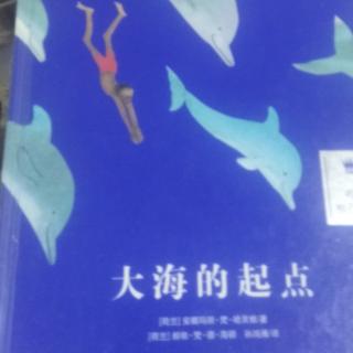 大海多起点