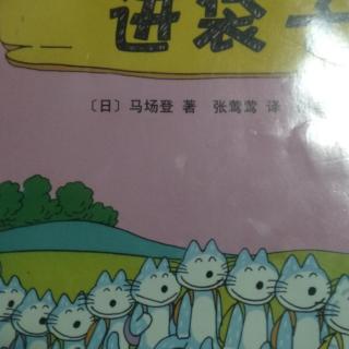 11只猫进袋子