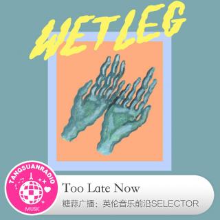 Too Late Now·糖蒜爱音乐之The Selector