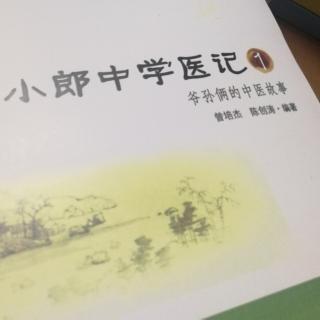 爷孙俩的中医故事1丨麻黄（四）