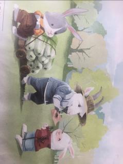 硕&淅妈咪绘本《小白兔和小灰兔》