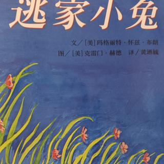 妮妮～逃家小兔