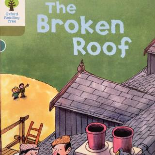 20220111-the Broken Roof