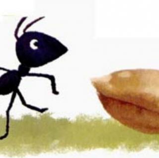 宋老师第335篇睡前故事🌻《蚂蚁和麦粒》