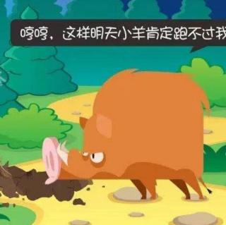 十街幼儿园园长妈妈睡前故事253《挖坑的野猪🐗》