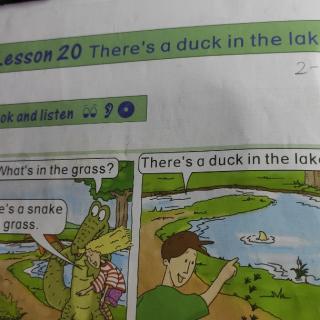 Lesson20There's a duck in the lake