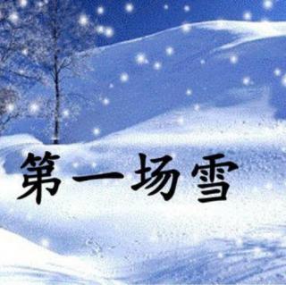 摘自峻青（第一场雪）节选