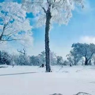 黄士波《 雪 》诵读琴姐