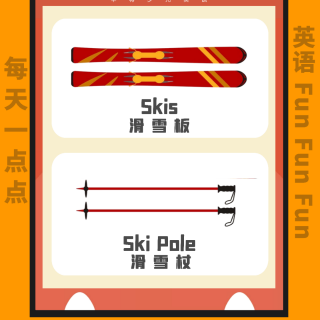 Day 27 Skis ＆ Ski pole