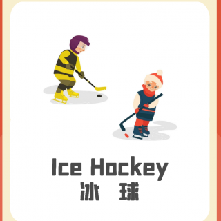 Day 20 Ice Hockey