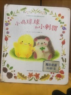 小鸡球球和小刺猬