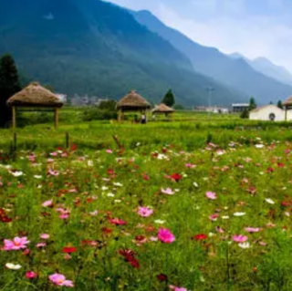 舌尖上的中国 节选