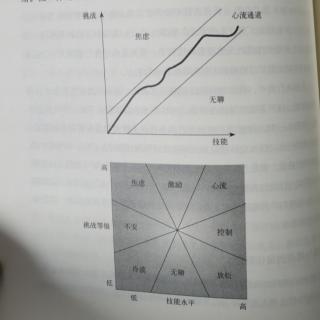 《如何控制自己的情绪》第十章 引流=技能/挑战