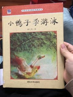 绘本《小鸭子学游泳》