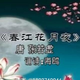 海鸥朗读《春江花月夜》（唐 张若虚）