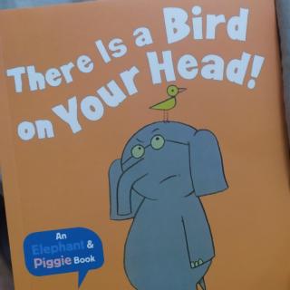 There is a bird on your head