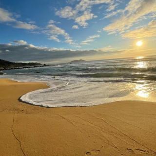 《海与太阳☀️》林东林