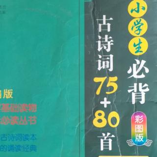 龙儿背古诗5《已亥杂诗》其五