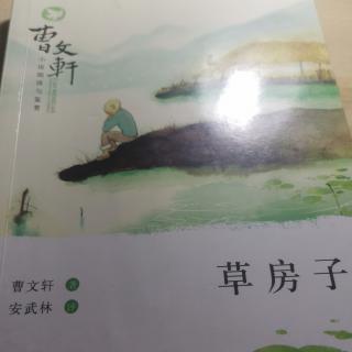 草房子     秃鹤（四）