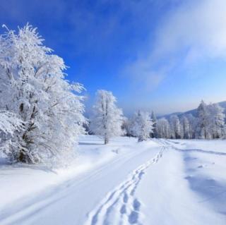 下雪的早晨