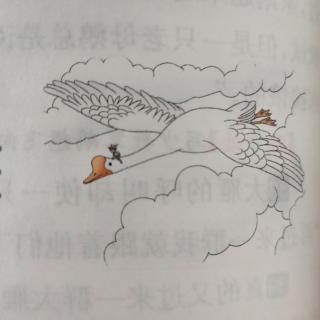 《骑鹅旅行记》节选