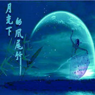 月光下的凤尾竹(葫芦丝)(纯音乐)-施光南