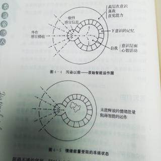 《家庭会伤人》第四章——中20220119