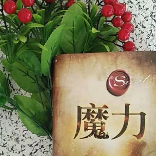 魔力第24天：《魔杖》