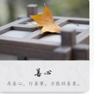 《师道人生》第九章第二节养子使作善也