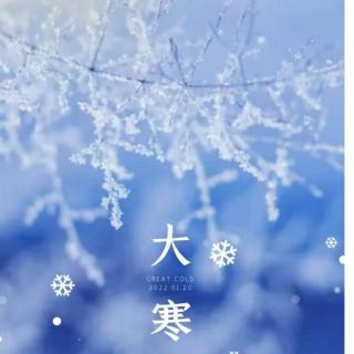 《雪》鲁迅